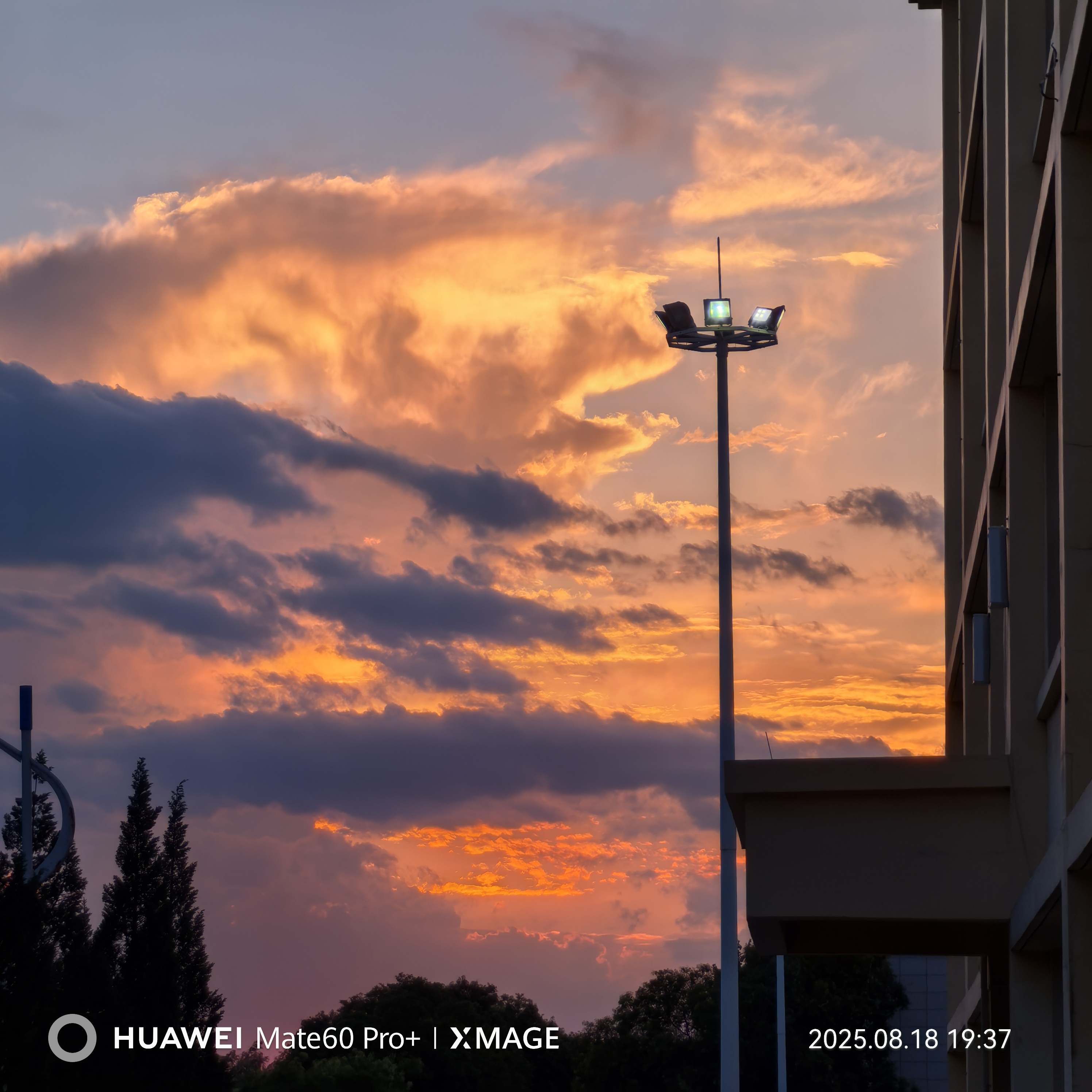 IMG_20250818_193736